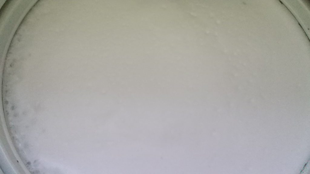 紀陽除虫菊の洗濯槽クリーナー【非塩素系】